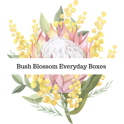 Bush Blossom Every Day Boxes $120